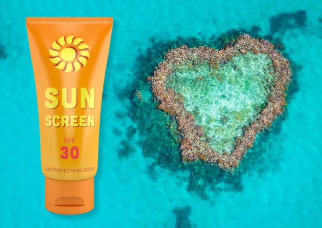 Always use reef-friendly sunscreen