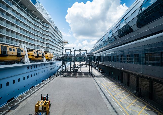 Cruise ships at port