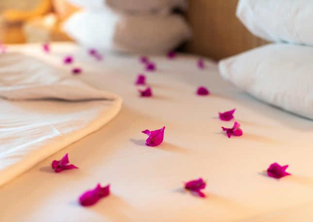 pedals on honeymoon bed