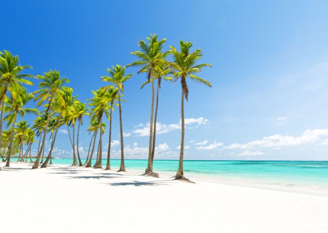 The white sands of Punta Cana