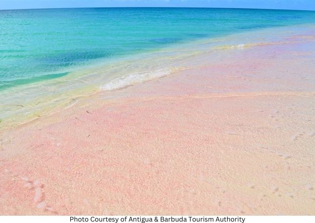Antigua's Pink Sand Beach