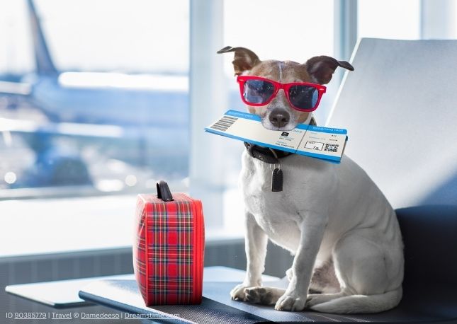 Always keep your travel documents in a safe place.