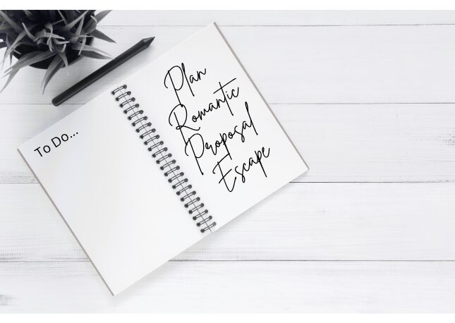 Add planning a romantic proposal to you to do list.