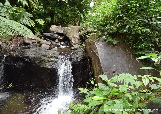 Dark View Falls in St. Vincent & The Grenadines