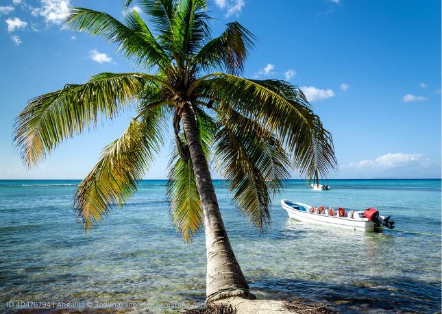 Enjoying the tranquil moments in paradise