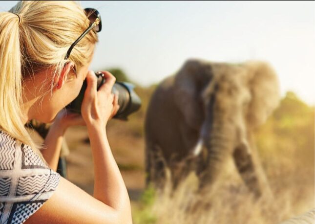 Finding the perfect camera to take and capture memories