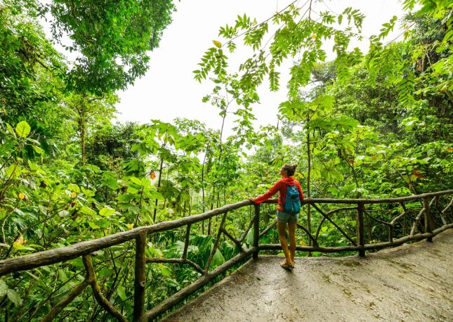 That is probably one of the reasons wellness travel has become so popular over the last few years. And honestly, I completely understand why. Enjoying the view of the rain forest