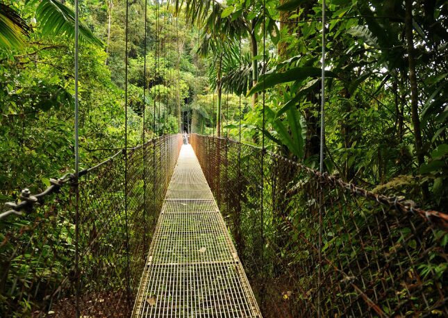 Take a stroll across the hanging bridge.